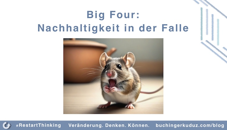 RestartThinking-Blog Big Four: Nachhaltigkeit in der Falle